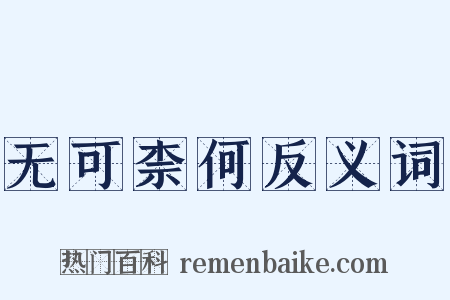 无可柰何反义词是什么意思的图片